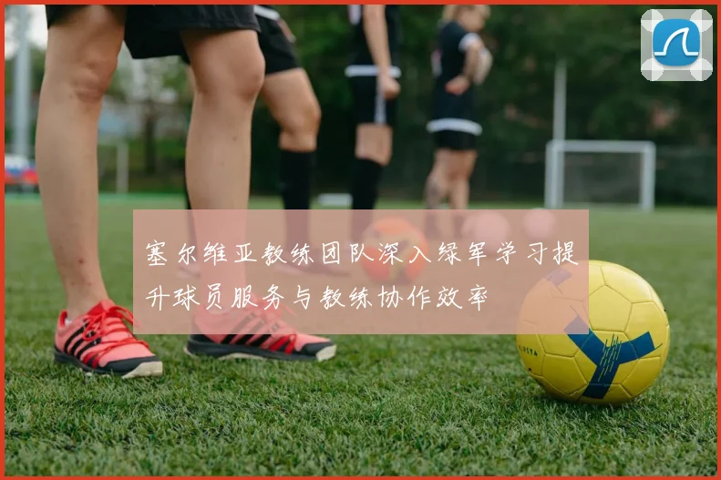 塞尔维亚教练团队深入绿军学习提升球员服务与教练协作效率