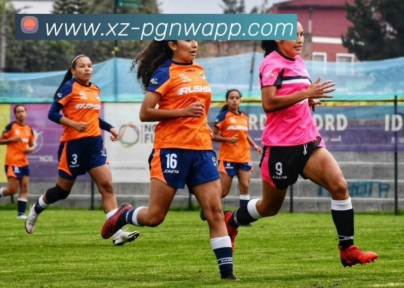 拜仁训练场引入新设备助力球员体能提升售价高达18万欧元